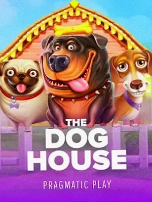 The Dog House at Stay